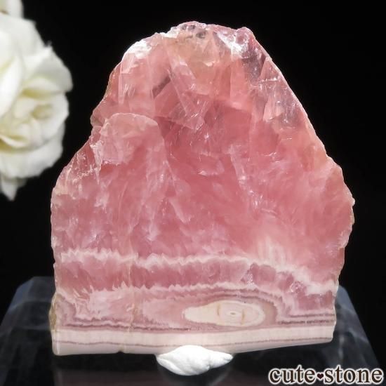 를 Capillitasɥȡʥ󥫥ˤΥ饤() No.12μ̿1 cute stone