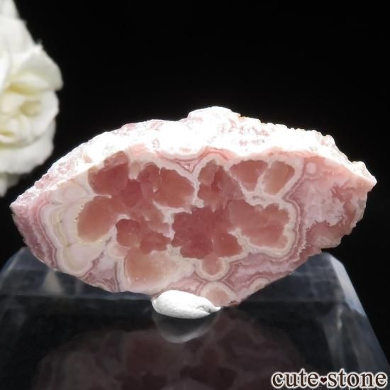 를 Capillitasɥȡʥ󥫥ˤΥ饤() No.13μ̿1 cute stone