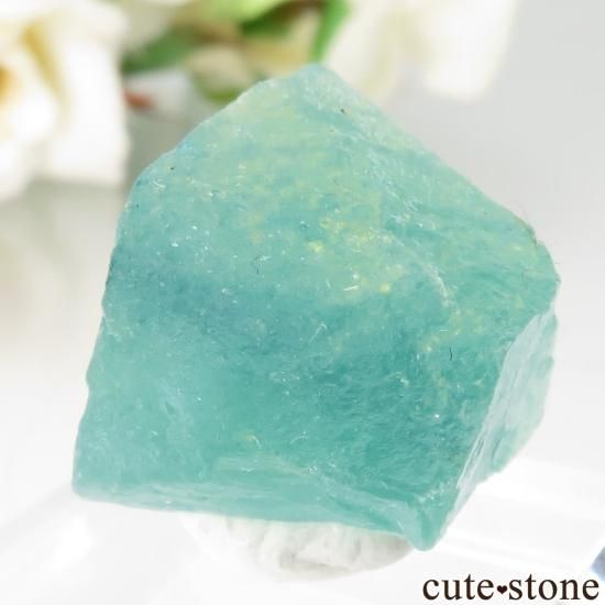 ɥ Schwarzwald ꡼֥롼ե饤Ȥθ No.3μ̿1 cute stone