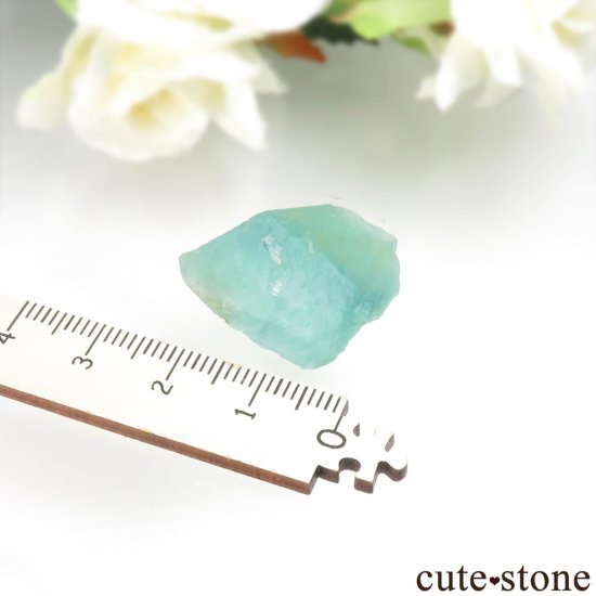 ɥ Schwarzwald ꡼֥롼ե饤Ȥθ No.3μ̿2 cute stone