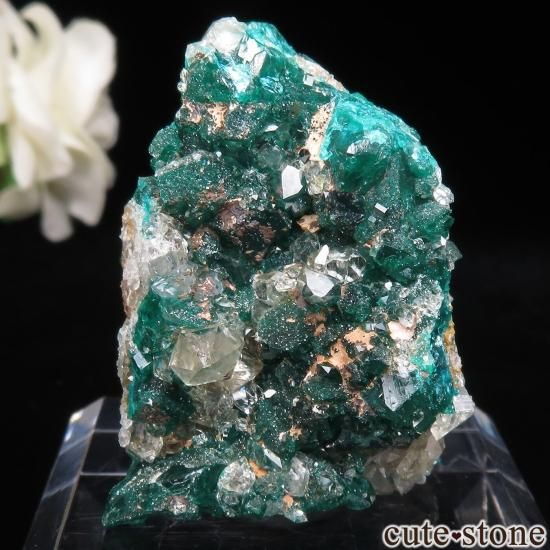 󥴶¹ Sanda Hills occurrences ץơĤθ No.20μ̿2 cute stone