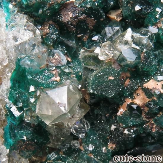 コンゴ共和国 Sanda Hills occurrences産 ダイオプテーズ