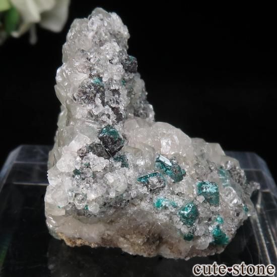 コンゴ共和国 Sanda Hills occurrences産 ダイオプテーズ＆カル