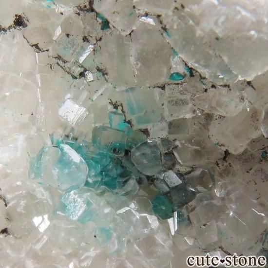 コンゴ共和国 Sanda Hills occurrences産 ダイオプテーズ＆カル