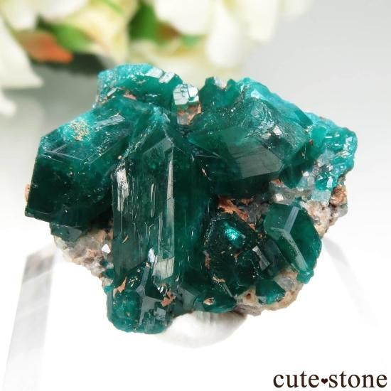 コンゴ産 ダイオプテーズ原石 コンゴ産]ダイオプテーズ結晶原石（53.1g） - 埼玉県吉川市の