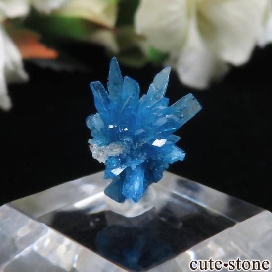  ץ͡ Wagholi ڥ󥿥ʥȤθ No.4μ̿1 cute stone