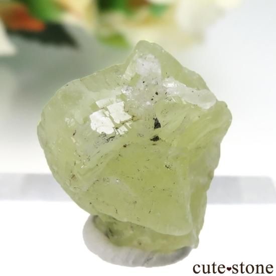 󥶥˥ Merelani Hills 󥶥ʥȡץʥȤθ No.117μ̿1 cute stone