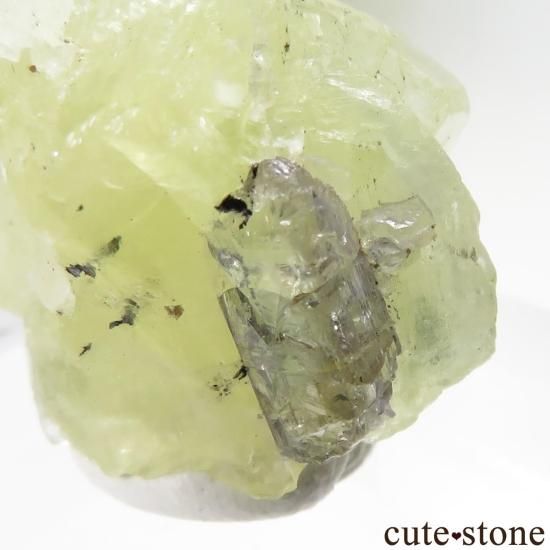 󥶥˥ Merelani Hills 󥶥ʥȡץʥȤθ No.117μ̿3 cute stone