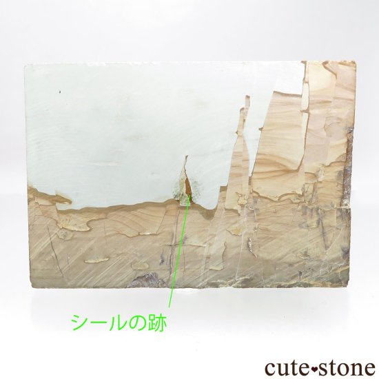 ꥢ ѥʥȡСˤΥ饤 No.6μ̿2 cute stone