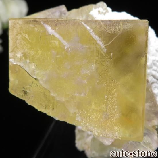 フローライト原石　イリノイ　鉱物標本　天然石 フローライト イリノイ の商品一覧- 鉱物標本・隕石標本販売の