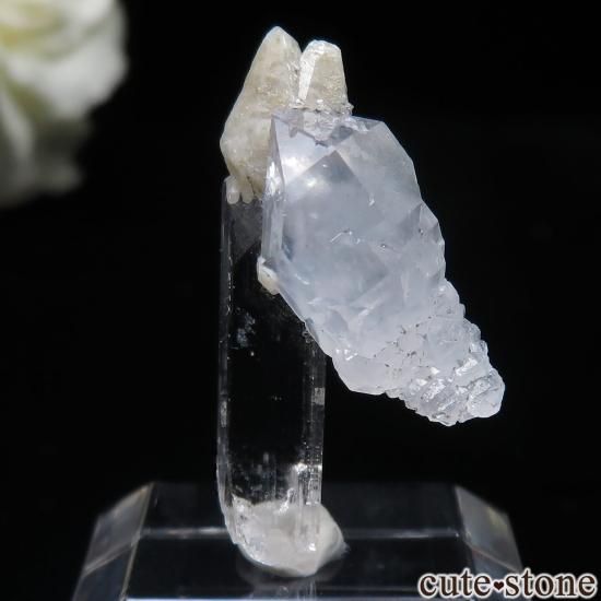 ᥭ Aurora Mine ӥ饤ȡġ륵Ȥθ No.1