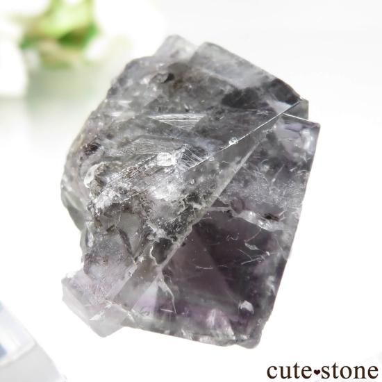 ǥʥ٥ Purple Rain Pocket ե饤Ȥθ No.20μ̿0 cute stone