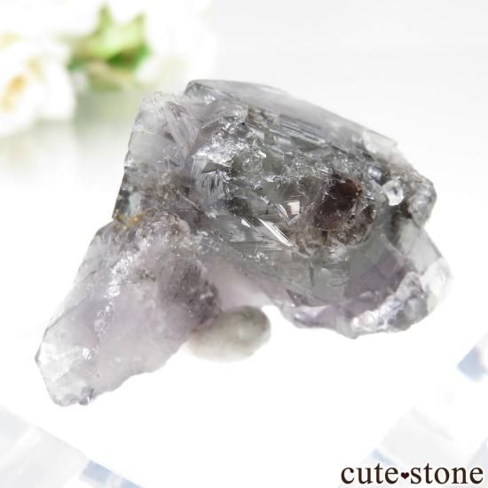 ǥʥ٥ Purple Rain Pocket ե饤Ȥθ No.20μ̿1 cute stone