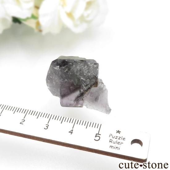 ǥʥ٥ Purple Rain Pocket ե饤Ȥθ No.20μ̿3 cute stone