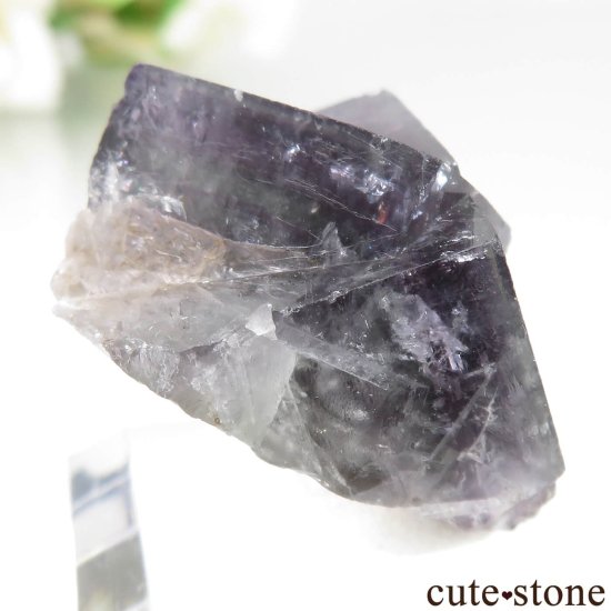 ǥʥ٥ Purple Rain Pocket ե饤Ȥθ No.21μ̿0 cute stone