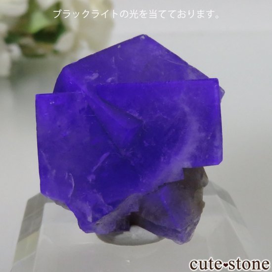 ǥʥ٥ Purple Rain Pocket ե饤Ȥθ No.21μ̿2 cute stone