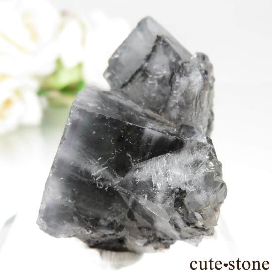 ǥʥ٥ Purple Rain Pocket ե饤Ȥθ No.22μ̿1 cute stone