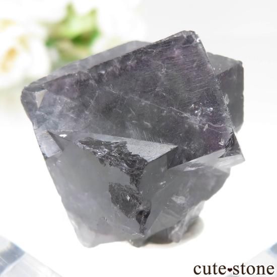 ǥʥ٥ Purple Rain Pocket ե饤Ȥθ No.23μ̿0 cute stone