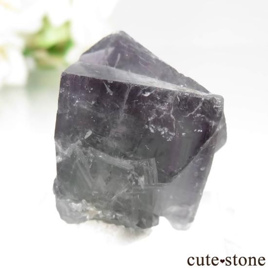 ǥʥ٥ Purple Rain Pocket ե饤Ȥθ No.23μ̿1 cute stone