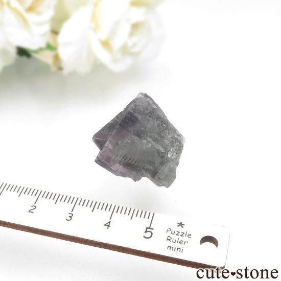 ǥʥ٥ Purple Rain Pocket ե饤Ȥθ No.23μ̿3 cute stone