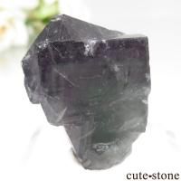 ǥʥ٥ Purple Rain Pocket ե饤Ȥθ No.23β