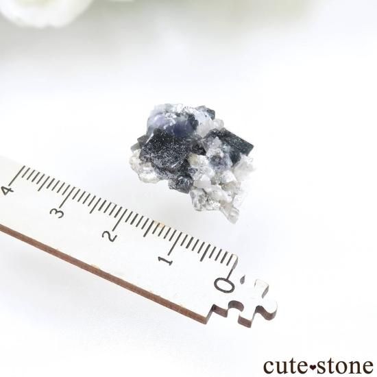 8ǯǰ 󥴥뼫 Yindu ե饤ȡĤθ No.1μ̿1 cute stone