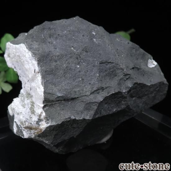  Mumbai ʥȤդ No.37μ̿1 cute stone