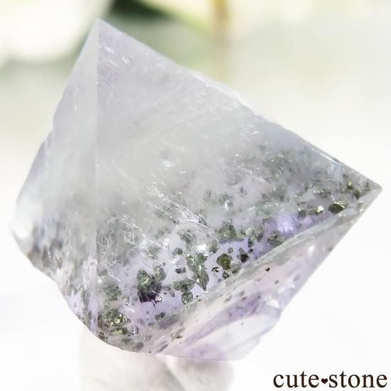 ꥫ Υ Cave-in-Rock ȬΡʤؤ뾽˥ե饤 No.31μ̿0 cute stone