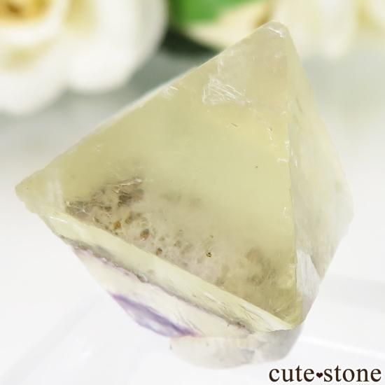 ꥫ Υ Cave-in-Rock ȬΡʤؤ뾽˥ե饤 No.32μ̿1 cute stone