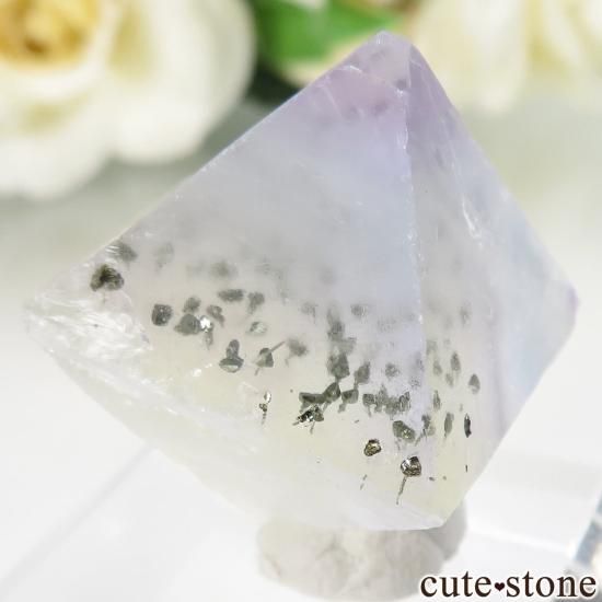 ꥫ Υ Cave-in-Rock ȬΡʤؤ뾽˥ե饤 No.33μ̿1 cute stone