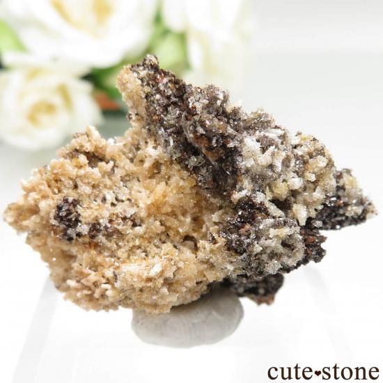 ݥȥ Preguica Mine ޥȡ No.1μ̿1 cute stone