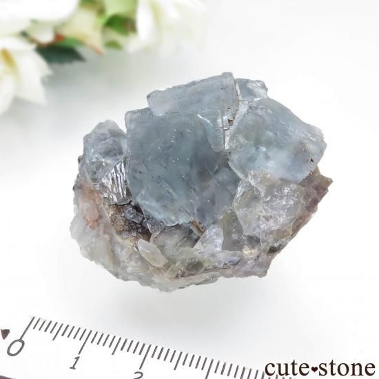 ڥ La Collada de atras 饤ȥ֥롼ե饤Ȥθ No.2μ̿3 cute stone