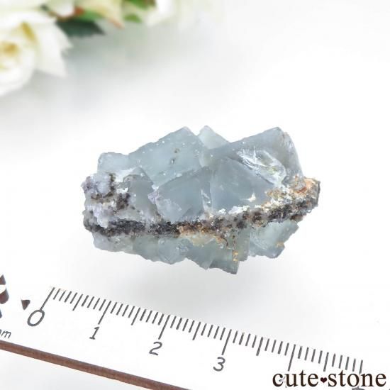 スペイン La Collada de atras産 ライトブルーフローライト&クォーツの原石 No.3の写真3 cute stone