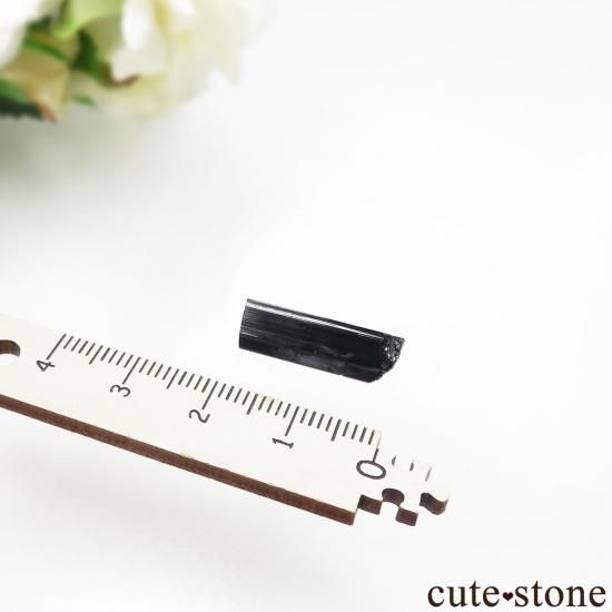 ե˥ Nuristan ѡץ֥롼ȥޥθ No.1μ̿3 cute stone