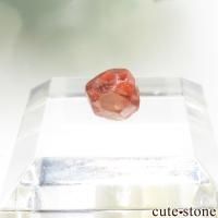 ʥꥢ Oyo ڥƥ󥬡ͥåȤθ No.β