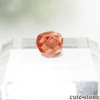 ʥꥢ Oyo ڥƥ󥬡ͥåȤθ No.6β