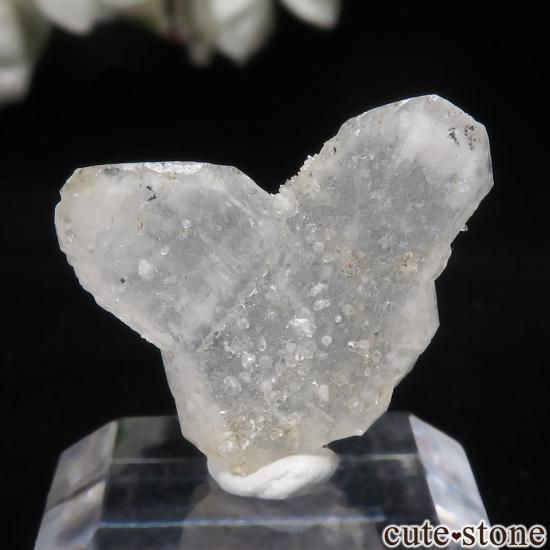 ޥ뻺 ġܼоˤθ No.6μ̿1 cute stone