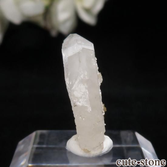 ޥ뻺 ġܼоˤθ No.8μ̿0 cute stone