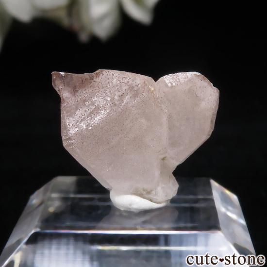 ޥ뻺 ġܼоˤθ No.10μ̿1 cute stone