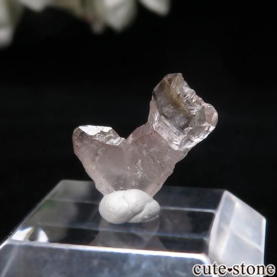 ޥ뻺 ġܼоץġˤθ No.11μ̿1 cute stone