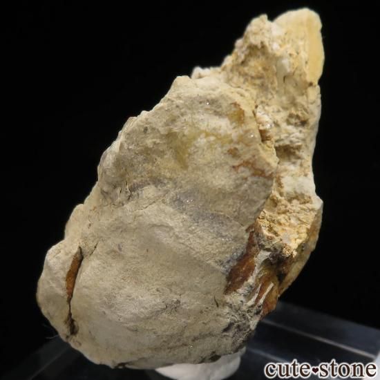 ե˥ Laman 쥹ȡ륵Ȥθ No.5μ̿1 cute stone