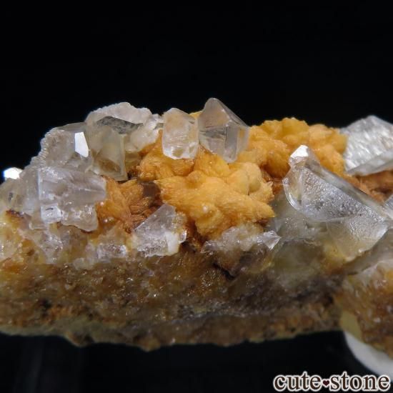 ե˥ Laman 쥹ȡ륵Ȥθ No.6μ̿1 cute stone