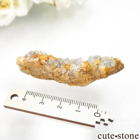 ե˥ Laman 쥹ȡ륵Ȥθ No.6μ̿3 cute stone