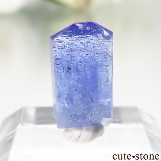 󥶥˥ Merelani Hills 󥶥ʥȤθСʲǮ No.119μ̿1 cute stone