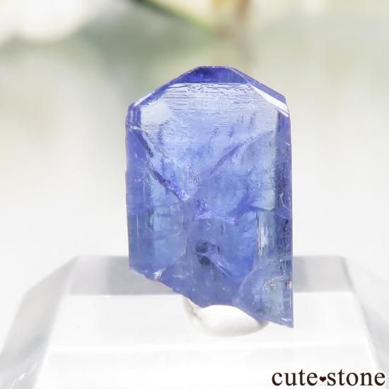 󥶥˥ Merelani Hills 󥶥ʥȤθСʲǮ No.120