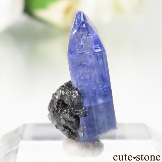 󥶥˥ Merelani Hills 󥶥ʥȤθСʲǮ No.121μ̿0 cute stone