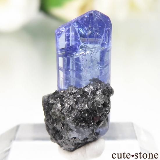 󥶥˥ Merelani Hills 󥶥ʥȤθСʲǮ No.121μ̿1 cute stone