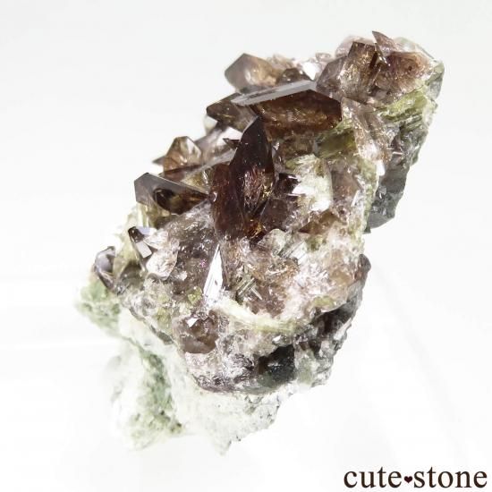 ե ץ̮ Le Rocher d'Armentier ʥȤθ No.4μ̿2 cute stone