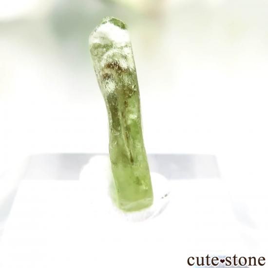 エジプト St John's Island産 ペリドットの原石 No.1の写真0 cute stone