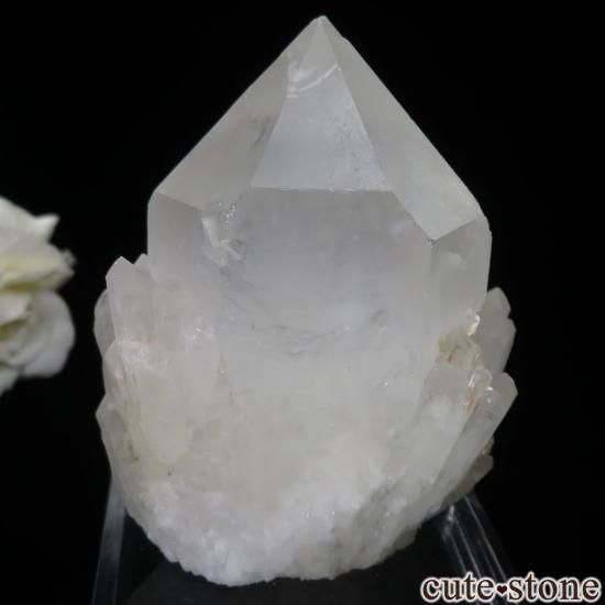 ޥ뻺 Ĥθ No.1μ̿1 cute stone